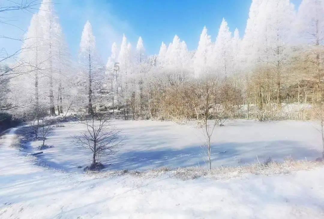 深入探索知识星球平台,尽享立冬和冬至有什么区别?的分享与学习乐趣